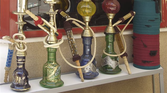 النرجيلة