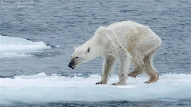Au large des côtes de l’archipel norvégien du Svalbard. (Kerstin Langenberger/Facebook)
