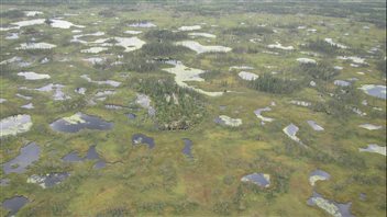 Half of Canada is underlain by permafrost, some of which is already thawing.