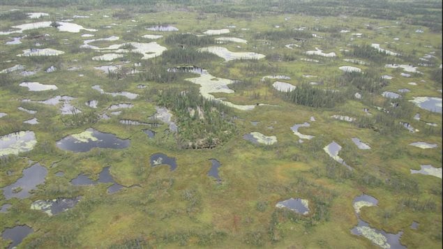 Permafrost underlies between 40 and 50 per cent of Canada’s land mass.