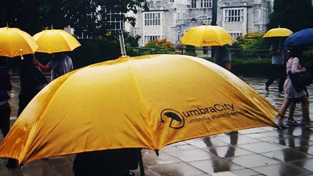 Des parapluies jaunes d'umbraCity 