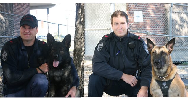Cpl Tunison and Axle (left image) placed 4th in the Evidence competition and 1st in the Compound Search competition. Cpl Lorence and Kruz placed 5th in Compound Search, and 1st in Evidence and placed 2nd Overall in the CPCA Trials.