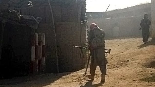 مقاتلان من