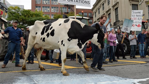 Manifestation de producteurs agricoles qui craignent la fin du système de gestion de l'offre, à Ottawa, le 29 septembre.