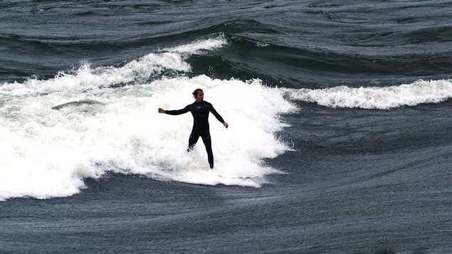 a surfer rides a standing wave in the waters passing by Montreal. The surfers ride such waves through much of the year, but will have to stop this month as the city dumps billions of litres into the water where they surf