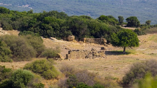 Caribou Hill, Suvla Bay, Gallipoli. No Man’s Land in the foreground was brought into the British lines after the successful action by the Newfoundland Regiment on November 4-5, 1915