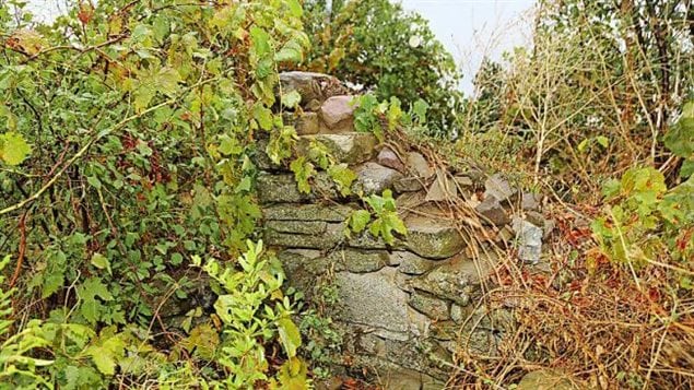 Remains of blockhouse that was a strong point in the Newfoundland Regiment firing line on the far right. The house is nearly hidden by vegetation even though it is only several metres from a farmer’s road that runs nearby. 