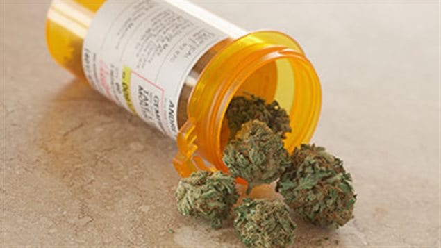This Canadian study is the first long-term examination of potential harmful effects of medical marijuana use in therapy for chronic pain sufferers.