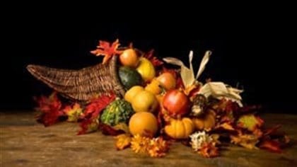 It's a Monday when Canadians count their blessings. We see a wicker cornucopia from which flow red and yellow apples, small orange pumpkins. Gentle flowers top the fruits, Dark red maple leaves surround both the cornucopia and its overflowing contents. 