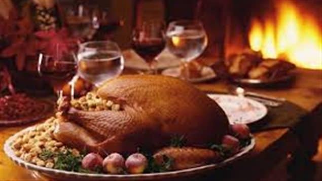 'Nuff said. We see a beautiful dark skinned turkey sitting on a sidetable surrounded by wine glasses filled with both dark and red wine. On the turkey plate, we see some of fixings, including what appear to be small apples. In the background a white and yellow fire roars.