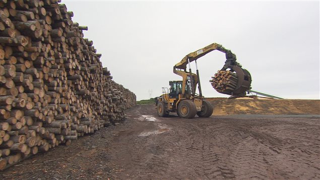 Expira acuerdo entre Canadá y Estados Unidos sobre la madera blanda