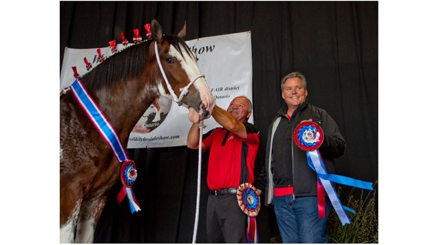 Anderson's Ovation - Supreme World Champion  with Robert A Detweiler and David Anderson at 2015 World Clydesdale Show.