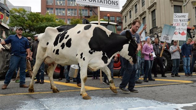 Earlier this year, a huge protest of dairy farmers took place in fornt of Parliament in Ottawa over possible concessions in the TPP which would undermine the current supply management system.