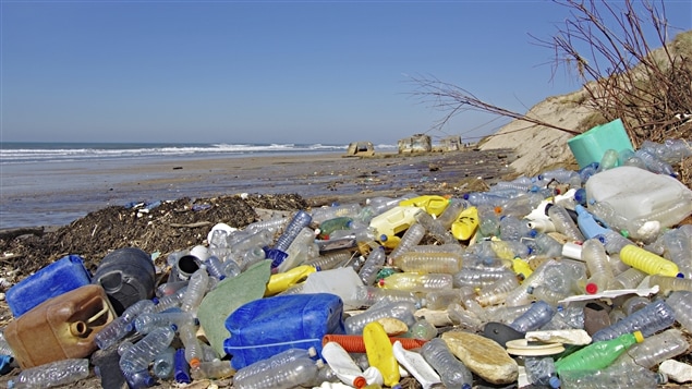 Près de 8,8 millions de tonnes de plastique finissent chaque année dans les océans, selon une étude parue en février 2015