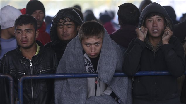 Migrantes bloqueados en la frontera entre Croacia y Eslovenia. 