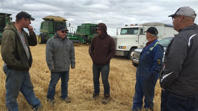 La communauté de Naicam-Spalding en Saskatchewan s'est regroupée pour offrir le fruit de leur récolte à la Banque canadienne de grains. 