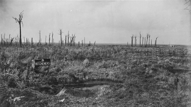 Kitcheners Wood, objective of attack of 10th and 16th Cdn Inf. Bns., April 1915.any a solider told of premonitions of their own death, or of having seen ghosts