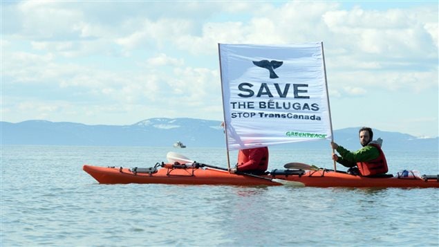  Greenpeace activists in Cacouna, Quebec, protest plans by TransCanada to build a new tanker port on the St. Lawrence Seaway to export tar sands oil from the proposed Energy East pipeline. Photo taken Friday, April 25, 2014. 