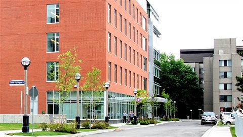 Le Centre Centre de toxicomanie et de santé mentale de Toronto vient en aide aux personnes transgenres.