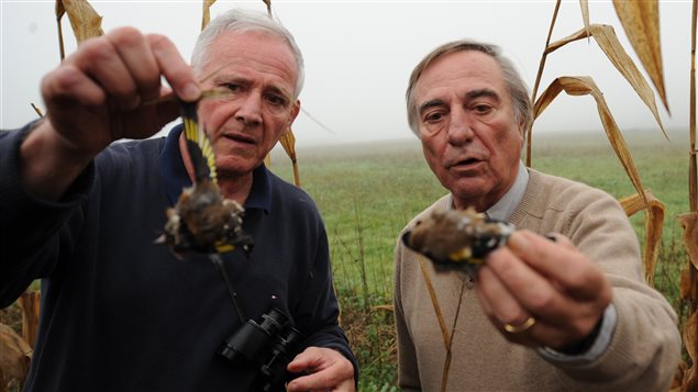 Allain Bougrain-Dubourg, président de la Ligue de protection des oiseaux (LPO) et un militant montrent à l'écran des pinsons morts sur un champ dans les Landes Allain Bougrain-Dubourg, président de la Ligue de protection des oiseaux (LPO) et un militant montrent à l'écran des pinsons morts sur un champ dans les Landes