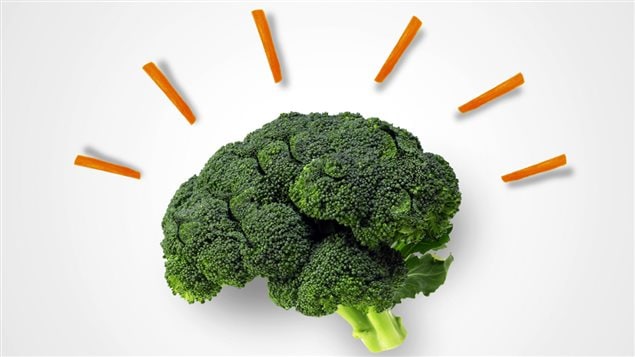 L'effet de la nutrition sur la santé cérébrale L'effet de la nutrition sur la santé cérébrale