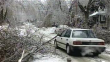In January 1998, several days of freezing rain created thick ice toppling trees, power lines, and making many roads impassable.