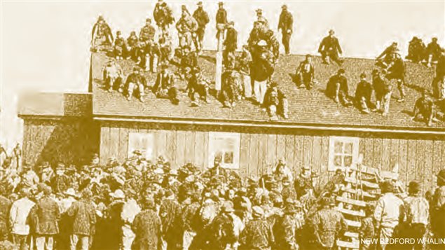 American whalers crowd the Pacific Steam Whaling Company
