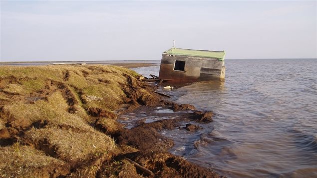 The island is not formed on bedrock but rather on sediment and permafrost which is meliting. combined with rising seas, many of the original buildings are threated by the melting and susequent erosion.