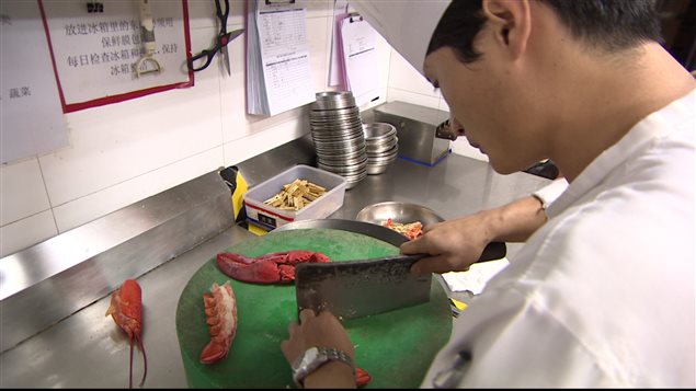 Cocinero chino prepara la langosta canadiense en un restaurante de gran reputación. 