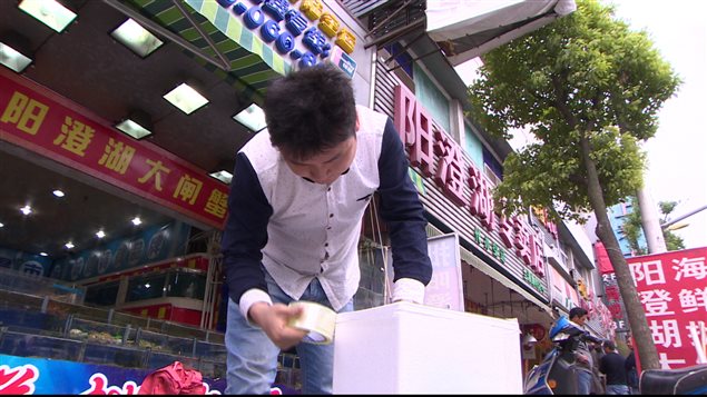 Langosta canadiense sale de la pescadería china para ser entregada a un cliente.