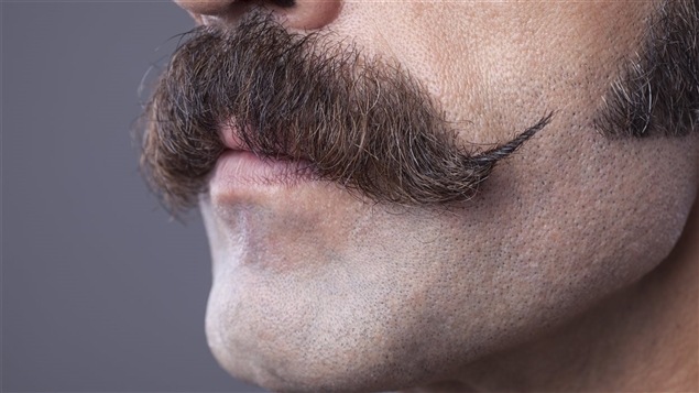 Durant le mois de novembre, les adeptes du mouvement Movember se font pousser la moustache pour attirer les dons pour la recherche contre le cancer de la prostate. Durant le mois de novembre, les adeptes du mouvement Movember se font pousser la moustache pour attirer les dons pour la recherche contre le cancer de la prostate.