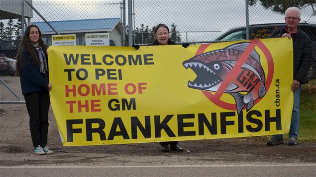 Outside AquaBounty’s PEI facility, Nov 19, 2015 (left to right) Sharon Labchuk, Islanders Say No to Frankefish; Mary Boyd, PEI Health Coalition; Leo Broderick, Council of Canadians.