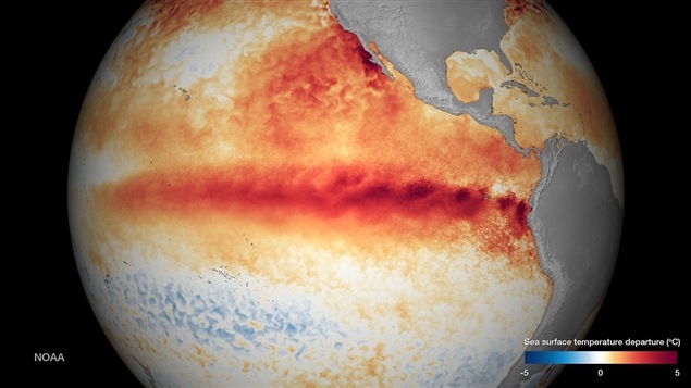 Carte des températures à la surface de l'eau illustrant l'effet du système météorologique El Niño. La température des océans est cruciale dans les prévisions saisonnières à long terme. En 2015-2016, l’attention des Canadiens est tournée vers le phénomène El Niño qui est le plus intense depuis l’hiver 1997-98.