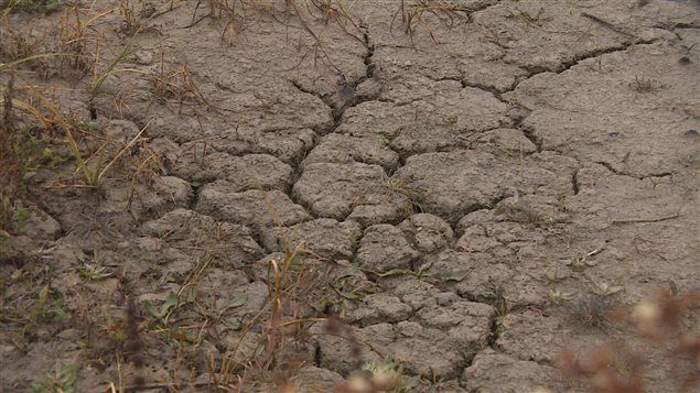 Les sécheresses plus importantes seront un défi de taille à relever pour les agriculteurs de la Saskatchewan