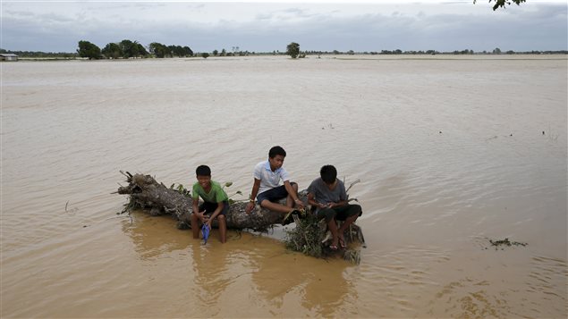  Boys rest on a huge tree trunk swept by Typhoon Koppu in a flooded village of Sta Rosa, Nueva Ecija in northern Philippines October 19, 2015. 