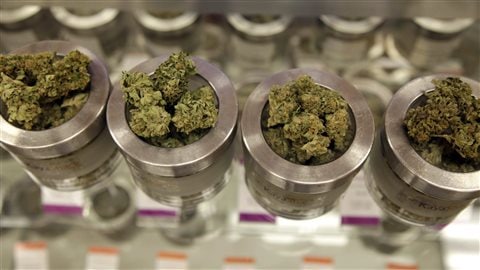 De la marijuana dans un comptoir de vente