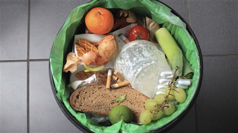 Un meilleur contrôle alimentaire réduirait l'empreinte sur l'environnement 