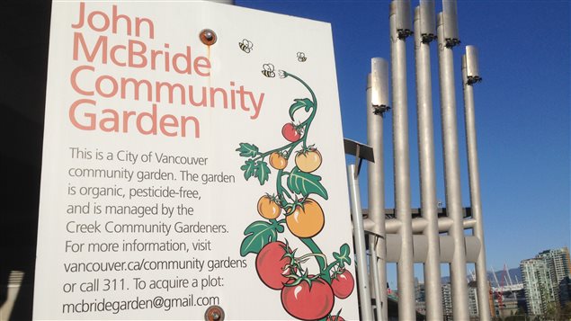 Bienvenue au jardin communautaire de la Ville de Vancouver!