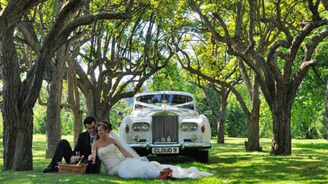 Kurtz Orchards in Niagara-on-the-Lake, Ontario is just one of literally many dozens of farm operation websites offering facilities for farm of barn weddings.