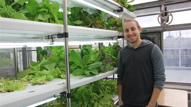 Alexandre Chamberland, étudiant en génie agroenvironnemental et président d’Agrocité Alexandre Chamberland, étudiant en génie agroenvironnemental et président d’Agrocité
