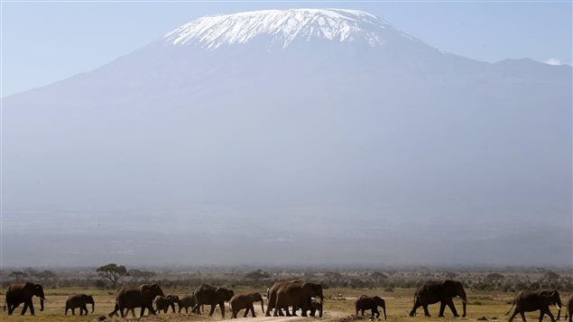 Le Kilimandjaro surplombe l’Afrique avec ses 5895 m.