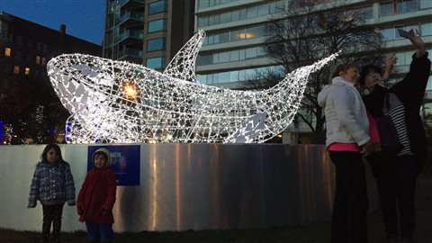 L’épaulard illuminé du Festival des lumières de Vancouver attire les curieux au début décembre dernier.