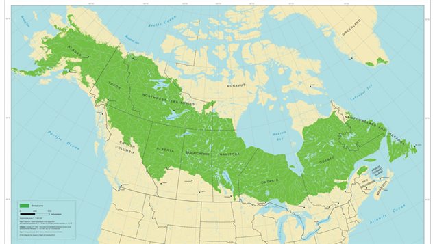 Broeal Forest of Alaska and Canada