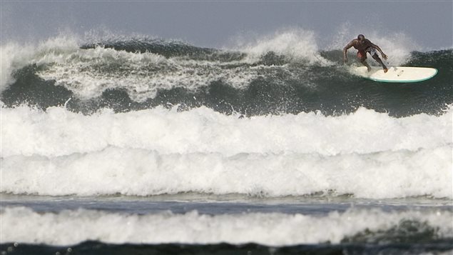 Las playas de la costa pacìfica de México atrae a muchos turistas aficionados del surfing.