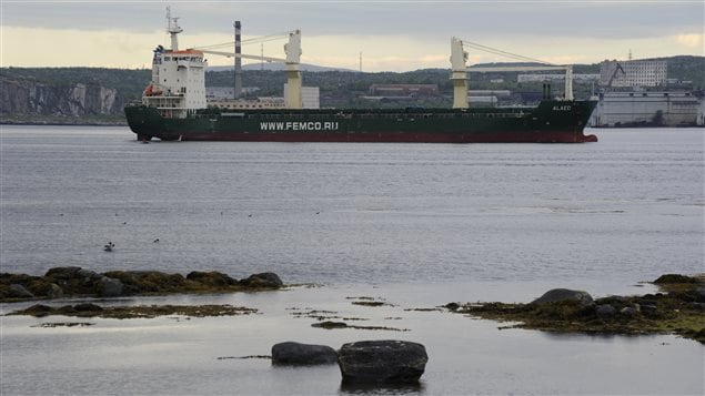  The Russian-operated ship Alaed is moored outside the northern port of Murmansk June 23, 2012. 