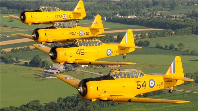 Canadian Harvard Aircraft Association. Restored Harvard aircraft marked as RCAF planes in the in the colours of the BCATP training programme. The Harvards were used as advanced trainers for pilots who would go one to fly front line fighters like hurricanes and Spitfires