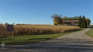 安大略省Campbellford一养猪场变海虾养殖场