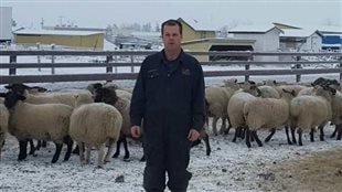 Phil Kolodychuk, Alberta sheep rancher and Chairman of the Canadian Sheep Federation