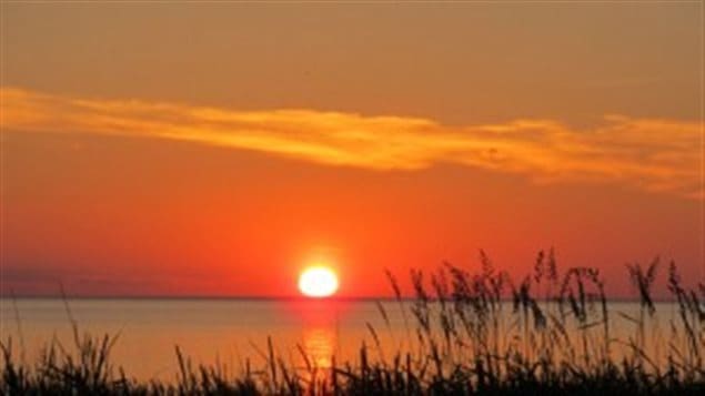 Will we hear the poets sing in 2016? We see the sun setting over a calm lake, resting pink from the sky above. We view the scene from behind some rushes in the foreground.