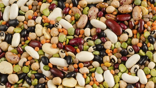 Lentilles, pois chiches, haricots blancs, noirs et rouge. Lentilles, pois chiches, haricots blancs, noirs et rouge.